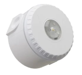 [ESS-80451F] Diffuseur lumineux IQ8L-C blanc IP65, monté au plafond
